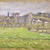 Camille Jacob Pissarro (French, 1830-1903). <em>View of Bazincourt (Vue de Bazincourt)</em>, 1889. Opaque watercolor over touches of graphite on balanced plain weave cotton mounted to pulpboard, image: 8 1/16 x 10 1/16 in. (20.5 x 25.6 cm). Brooklyn Museum, Gift of Frank L. Babbott, 27.389 (Photo: Brooklyn Museum, 27.389_SL3.jpg)