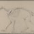 Philip H. Wolfrom (American, 1870-1904). <em>Skeleton of a Cat</em>, n.d. Graphite on paper, Sheet: 9 13/16 x 12 15/16 in. (24.9 x 32.9 cm). Brooklyn Museum, Gift of Anna Wolfrom Dove, 27.808 (Photo: Brooklyn Museum, 27.808_PS4.jpg)