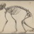 Philip H. Wolfrom (American, 1870-1904). <em>Skeleton of a Primate</em>, n.d. Graphite on paper, Sheet: 12 15/16 x 19 7/16 in. (32.9 x 49.4 cm). Brooklyn Museum, Gift of Anna Wolfrom Dove, 27.809 (Photo: Brooklyn Museum, 27.809_IMLS_PS3.jpg)