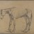 Philip H. Wolfrom (American, 1870-1904). <em>Horse</em>, n.d. Graphite on paper, Sheet: 10 1/8 x 12 1/4 in. (25.7 x 31.1 cm). Brooklyn Museum, Gift of Anna Wolfrom Dove, 27.819 (Photo: Brooklyn Museum, 27.819_PS4.jpg)