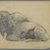 Philip H. Wolfrom (American, 1870-1904). <em>Bison</em>, n.d. Graphite on paper, Sheet: 9 7/8 x 12 7/8 in. (25.1 x 32.7 cm). Brooklyn Museum, Gift of Anna Wolfrom Dove, 27.821 (Photo: Brooklyn Museum, 27.821_PS6.jpg)