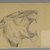 Philip H. Wolfrom (American, 1870-1904). <em>Head of Roaring Lion (recto) and Bison (verso)</em>, n.d. Graphite and charcoal on paper, Sheet: 9 7/8 x 15 in. (25.1 x 38.1 cm). Brooklyn Museum, Gift of Anna Wolfrom Dove, 27.822 (Photo: Brooklyn Museum, 27.822_PS6.jpg)