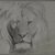 Philip H. Wolfrom (American, 1870-1904). <em>Head of Lion</em>, n.d. Graphite and white chalk on paper, Sheet: 9 3/4 x 12 13/16 in. (24.8 x 32.5 cm). Brooklyn Museum, Gift of Anna Wolfrom Dove, 27.824 (Photo: Brooklyn Museum, 27.824.jpg)