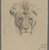 Philip H. Wolfrom (American, 1870-1904). <em>Head of Lion (recto) and Studies of Lion (verso)</em>, n.d. Graphite on paper, Sheet: 10 5/16 x 8 1/8 in. (26.2 x 20.6 cm). Brooklyn Museum, Gift of Anna Wolfrom Dove, 27.828 (Photo: Brooklyn Museum, 27.828_recto_PS4.jpg)