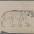 Philip H. Wolfrom (American, 1870-1904). <em>Striding Lioness</em>, n.d. Graphite on paper, Sheet: 8 5/8 x 11 15/16 in. (21.9 x 30.3 cm). Brooklyn Museum, Gift of Anna Wolfrom Dove, 27.833 (Photo: Brooklyn Museum, 27.833_PS4.jpg)