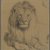Philip H. Wolfrom (American, 1870-1904). <em>Lion</em>, n.d. Graphite on paper, Sheet: 9 3/4 x 8 1/2 in. (24.8 x 21.6 cm). Brooklyn Museum, Gift of Anna Wolfrom Dove, 27.835 (Photo: Brooklyn Museum, 27.835_PS4.jpg)