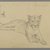 Philip H. Wolfrom (American, 1870-1904). <em>Seated Lioness</em>, n.d. Graphite on paper, Sheet: 6 x 9 1/4 in. (15.2 x 23.5 cm). Brooklyn Museum, Gift of Anna Wolfrom Dove, 27.841 (Photo: Brooklyn Museum, 27.841_PS6.jpg)