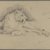 Philip H. Wolfrom (American, 1870-1904). <em>Seated Lioness</em>, n.d. Graphite on paper, Sheet: 6 x 9 5/16 in. (15.2 x 23.7 cm). Brooklyn Museum, Gift of Anna Wolfrom Dove, 27.843 (Photo: Brooklyn Museum, 27.843_PS4.jpg)