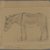 Philip H. Wolfrom (American, 1870-1904). <em>Donkey</em>, n.d. Graphite on paper, Sheet: 9 3/16 x 9 3/4 in. (23.3 x 24.8 cm). Brooklyn Museum, Gift of Anna Wolfrom Dove, 27.851 (Photo: Brooklyn Museum, 27.851_PS4.jpg)