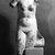 Greek. <em>Torso of Aphrodite</em>, 1st century B.C.E.-1st century C.E. Marble, 29 x 14 3/16 x 9 13/16 in. (73.7 x 36 x 25 cm). Brooklyn Museum, Gift of Frank Bailey, 28.277. Creative Commons-BY (Photo: Brooklyn Museum, 28.277_NegA_bw_SL4.jpg)