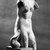 Greek. <em>Torso of Aphrodite</em>, 1st century B.C.E.-1st century C.E. Marble, 29 x 14 3/16 x 9 13/16 in. (73.7 x 36 x 25 cm). Brooklyn Museum, Gift of Frank Bailey, 28.277. Creative Commons-BY (Photo: Brooklyn Museum, 28.277_NegB_bw_SL4.jpg)