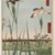 Utagawa Hiroshige (Ando) (Japanese, 1797-1858). <em>Horikiri Iris Garden (Horikiri no Hanashobu), No. 64 from One Hundred Famous Views of Edo</em>, 5th month of 1857. Woodblock print, Sheet: 14 3/16 x 9 5/16 in. (36.1 x 23.6 cm). Brooklyn Museum, Gift of Anna Ferris, 30.1478.64 (Photo: Brooklyn Museum, 30.1478.64_large_SL1.jpg)