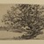 Joseph Frank Currier (American, 1843-1909). <em>Study of Trees</em>, ca. 1880. Charcoal on cream, medium weight, sightly textured laid paper, sheet: 4 5/8 x 6 5/16 in. (11.7 x 16 cm). Brooklyn Museum, Gift of Mrs. John White Alexander, 31.202.3 (Photo: Brooklyn Museum, 31.202.3_PS2.jpg)
