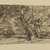 Joseph Frank Currier (American, 1843-1909). <em>Study of Trees</em>, ca. 1880. Charcoal on cream, medium weight, slightly textured laid paper, sheet: 3 7/8 x 7 7/16 in. (9.8 x 18.9 cm). Brooklyn Museum, Gift of Mrs. John White Alexander, 31.202.4 (Photo: Brooklyn Museum, 31.202.4_PS2.jpg)