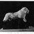  <em>Sculptor's Model of a Walking Lion</em>, ca. 664-30 B.C.E. Limestone, 3 x 6 1/2 x 12 in. (7.6 x 16.5 x 30.5 cm). Brooklyn Museum, Charles Edwin Wilbour Fund, 33.190. Creative Commons-BY (Photo: Brooklyn Museum, 33.190_print_SL4.jpg)