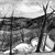 Henry Varnum Poor (American, 1887-1970). <em>View Over Nyack, Winter</em>, 1933. Oil on canvas, 20 x 24 in. (50.8 x 61 cm). Brooklyn Museum, John B. Woodward Memorial Fund, 36.307. © artist or artist's estate (Photo: Brooklyn Museum, 36.307_bw.jpg)