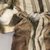 Inupiaq. <em>Woman's Parka with brown and white fur designs</em>, 1900-1930. Fur (probably caribou), hide, 59 x 29 in. (149.9 x 73.7 cm). Brooklyn Museum, Frank L. Babbott Fund, 36.42. Creative Commons-BY (Photo: Brooklyn Museum, 36.42_detail2_PS5.jpg)
