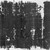  <em>Papyrus Inscribed in Demotic</em>, 201–200 B.C.E. Papyrus, ink, 37.1839Ea: 11 5/16 x 40 3/8 in. (28.8 x 102.5 cm). Brooklyn Museum, Charles Edwin Wilbour Fund, 37.1839Ea-b (Photo: Brooklyn Museum, 37.1839Eb_negB_bw_IMLS.jpg)