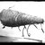  <em>Ibis Mummy</em>, 664-30 B.C.E. Animal remains, linen, 5 1/2 × 5 × 15 in. (14 × 12.7 × 38.1 cm). Brooklyn Museum, Charles Edwin Wilbour Fund, 37.2042.17E. Creative Commons-BY (Photo: Brooklyn Museum, 37.2042.17E_NegA_SL4.jpg)