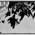 Félix Vallotton (Swiss, 1865-1925). <em>La Manifestation</em>, 1893. Woodcut on wove paper, 8 x 12 9/16 in. (20.3 x 31.9 cm). Brooklyn Museum, Charles Stewart Smith Memorial Fund, 38.341 (Photo: Brooklyn Museum, 38.341_bw_IMLS.jpg)