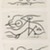 Abraham Walkowitz (American, born Russia, 1878-1965). <em>Fish Design</em>, ca. 1913. Ink over graphite on paper, Sheet (drawing): 3 x 5 in. (7.6 x 12.7 cm). Brooklyn Museum, Gift of the artist, 39.472a (Photo: , 39.472a-c_IMLS_PS3.jpg)
