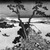 Katsushika Hokusai (Japanese, 1760-1849). <em>Lake Suwa in Shinano Province, from the series Thirty-six Views of Mount Fuji</em>, ca. 1830-1831. Color woodblock print on paper, Image: 10 1/4 x 15 1/16 in. (26 x 38.2 cm). Brooklyn Museum, Gift of Frederic B. Pratt, 42.79 (Photo: Brooklyn Museum, 42.79_bw_IMLS.jpg)