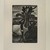 Georges Rouault (French, 1871-1958). <em>Paysage au palmier, Illustration for Réincarnations du Père Ubu</em>, 1932. Etching Brooklyn Museum, Henry L. Batterman Fund, 46.130.10. © artist or artist's estate (Photo: , 46.130.10_view02_PS12.jpg)