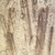 Mark Tobey (American, 1890-1976). <em>Island Memories</em>, 1947. Watercolor on paper, 24 3/4 x 18 3/4 in. (62.9 x 47.6 cm). Brooklyn Museum, Henry L. Batterman Fund, 49.117. © artist or artist's estate (Photo: Brooklyn Museum, 49.117.jpg)