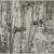 Irving Berman (American). <em>Pond</em>. print Brooklyn Museum, Gift of the artist, 53.156.1 (Photo: Brooklyn Museum, 53.156.1_PS9.jpg)