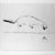 Morris Graves (American, 1910-2001). <em>Animal with Reflexion</em>, 1954. Ink on paper, 18 x 26 1/2 in. (45.7 x 67.3 cm). Brooklyn Museum, Dick S. Ramsay Fund, 57.18. © artist or artist's estate (Photo: Brooklyn Museum, 57.18_bw.jpg)