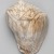 Mississippian. <em>Engraved Conch Shell</em>, 1200-1500 C.E. Conch shell, pigment, Falcon warrior: 10 7/16 × 7 1/2 × 5 1/2 in. (26.5 × 19.1 × 14 cm). Brooklyn Museum, By exchange, 60.53.1. Creative Commons-BY (Photo: , 60.53.1_view01_PS11.jpg)
