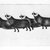 Osuitok Ipeelee (1922-2005). <em>Four Musk Oxen</em>, 1959. Stencil (sealskin), paper, 11 15/16 x 21 15/16 in. (30.3 x 55.8 cm). Brooklyn Museum, Dick S. Ramsay Fund, 60.58.2. © artist or artist's estate (Photo: Brooklyn Museum, 60.58.2_bw_SL1.jpg)