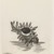 Kimura Shigeru (Japanese). <em>A Shell</em>. Etching, 8 7/16 x 6 1/4 in. (21.5 x 15.9 cm). Brooklyn Museum, Carll H. de Silver Fund, 63.67.3. © artist or artist's estate (Photo: Brooklyn Museum, 63.67.3_IMLS_PS3.jpg)