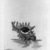 Kimura Shigeru (Japanese). <em>A Shell</em>. Etching, 8 7/16 x 6 1/4 in. (21.5 x 15.9 cm). Brooklyn Museum, Carll H. de Silver Fund, 63.67.3. © artist or artist's estate (Photo: Brooklyn Museum, 63.67.3_acetate_bw.jpg)