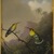 Martin Johnson Heade (American, 1819-1904). <em>Two Humming Birds: "Copper-tailed Amazili,"</em> ca.1865-1875. Oil on canvas, 11 9/16 x 8 7/16 in. (29.3 x 21.5 cm). Brooklyn Museum, Dick S. Ramsay Fund, 64.208 (Photo: Brooklyn Museum, 64.208_SL1.jpg)