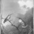 Martin Johnson Heade (American, 1819-1904). <em>Two Humming Birds: "Copper-tailed Amazili,"</em> ca.1865-1875. Oil on canvas, 11 9/16 × 8 7/16 in. (29.3 × 21.5 cm). Brooklyn Museum, Dick S. Ramsay Fund, 64.208 (Photo: Brooklyn Museum, 64.208_acetate_bw.jpg)