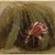 William Sidney Mount (American, 1807-1868). <em>Cactus in Blossom</em>, 1857. Oil on board, 6 7/16 x 7 3/16 in. (16.4 x 18.2 cm). Brooklyn Museum, Bequest of H. Randolph Lever, 64.80.28 (Photo: Brooklyn Museum, 64.80.28_PS1.jpg)