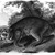 John James  Audubon (American, born Haiti, 1785-1851). <em>Common American Wildcat</em>. Lithograph, 21 x 27 in. (53.3 x 68.6 cm). Brooklyn Museum, Gift of the Estate of Emily Winthrop Miles, 64.98.21 (Photo: Brooklyn Museum, 64.98.21_bw_IMLS.jpg)