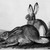 John James  Audubon (American, born Haiti, 1785-1851). <em>Townsend's Rocky Mountain Hare</em>, 1842. Lithograph, 21 x 27 in. (53.3 x 68.6 cm). Brooklyn Museum, Gift of the Estate of Emily Winthrop Miles, 64.98.22 (Photo: Brooklyn Museum, 64.98.22_bw_IMLS.jpg)