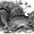 John James  Audubon (American, born Haiti, 1785-1851). <em>Grey Fox</em>. Lithograph, 21 7/8 x 28 in. (55.6 x 71.1 cm). Brooklyn Museum, Gift of the Estate of Emily Winthrop Miles, 64.98.31 (Photo: Brooklyn Museum, 64.98.31_bw_IMLS.jpg)