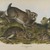 John James  Audubon (American, born Haiti, 1785-1851). <em>Grey Rabbit</em>. Lithograph, 21 x 27 in. (53.3 x 68.6 cm). Brooklyn Museum, Gift of the Estate of Emily Winthrop Miles, 64.98.32 (Photo: Brooklyn Museum, 64.98.32_PS2.jpg)