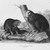 John James  Audubon (American, born Haiti, 1785-1851). <em>American Beaver</em>, 1844. Lithograph, 21 x 27 in. (53.3 x 68.6 cm). Brooklyn Museum, Gift of the Estate of Emily Winthrop Miles, 64.98.42 (Photo: Brooklyn Museum, 64.98.42_bw_IMLS.jpg)