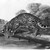 John James  Audubon (American, born Haiti, 1785-1851). <em>Ocelot or Leopard-Cat</em>. Lithograph, 27 x 21 in. (68.6 x 53.3 cm). Brooklyn Museum, Gift of the Estate of Emily Winthrop Miles, 64.98.53 (Photo: Brooklyn Museum, 64.98.53_bw_IMLS.jpg)