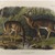 John James  Audubon (American, born Haiti, 1785-1851). <em>Common or Virginian Deer</em>. Lithograph, 21 x 27 in. (53.3 x 68.6 cm). Brooklyn Museum, Gift of the Estate of Emily Winthrop Miles, 64.98.69 (Photo: Brooklyn Museum, 64.98.69_IMLS_PS4.jpg)