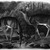 John James  Audubon (American, born Haiti, 1785-1851). <em>Common or Virginian Deer</em>. Lithograph, 21 x 27 in. (53.3 x 68.6 cm). Brooklyn Museum, Gift of the Estate of Emily Winthrop Miles, 64.98.69 (Photo: Brooklyn Museum, 64.98.69_bw_IMLS.jpg)