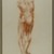 Daniel Huntington (American, 1816-1906). <em>Écorché (Figure Study of Musculature)</em>, ca. 1848. Red, brown, white, and black crayon with graphite underdrawing on blue-green, medium-weight, slightly textured wove paper, Sheet: 21 3/4 x 14 15/16 in. (55.2 x 37.9 cm). Brooklyn Museum, Gift of The Roebling Society, 68.167.4 (Photo: Brooklyn Museum, 68.167.4_IMLS_PS4.jpg)