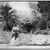 Winslow Homer (American, 1836-1910). <em>On the Way to Market, Bahamas</em>, 1885. Watercolor over pencil, Sheet: 13 15/16 x 20 1/16 in. (35.4 x 51 cm). Brooklyn Museum, Gift of Gunnar Maske in memory of Elizabeth Treadway White Maske, 69.50 (Photo: Brooklyn Museum, 69.50_bw_IMLS.jpg)