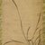 Gyokuen Bompo (Japanese, 1348-1420). <em>Kakemono: Orchids, Bamboo, and Thorns - Right panel</em>, late 14th-early 15th century. Ink on Korean paper, Image: 25 x 12 1/4 in. (63.5 x 31.1 cm). Brooklyn Museum, Gift of The Roebling Society, 73.123.1 (Photo: Brooklyn Museum, 73.123.1_SL1.jpg)