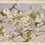 John William Hill (American, 1812-1879). <em>Apple Blossoms</em>, ca. 1874. Watercolor over graphite on wove paper, Image: 7 1/2 × 13 3/8 in. (19.1 × 34 cm). Brooklyn Museum, Designated Purchase Fund, 74.170 (Photo: Brooklyn Museum, 74.170_SL1.jpg)