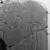  <em>Relief of King Sobekhotep III</em>, ca. 1744-1741 B.C.E. Quartzite, 63 1/2 x 66 x 4 in., 765 lb. (161.3 x 167.6 x 10.2 cm, 347kg). Brooklyn Museum, Charles Edwin Wilbour Fund, 77.194a-c. Creative Commons-BY (Photo: Brooklyn Museum, 77.194_negC_bw_IMLS.jpg)